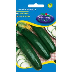 Cukkini Black beauty 4 g