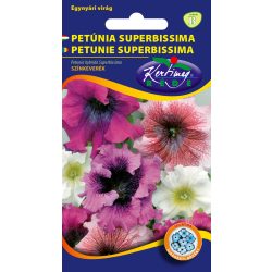 Petúnia Superbissima szk.