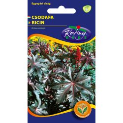 Csodafa Fáklya Piros termésű