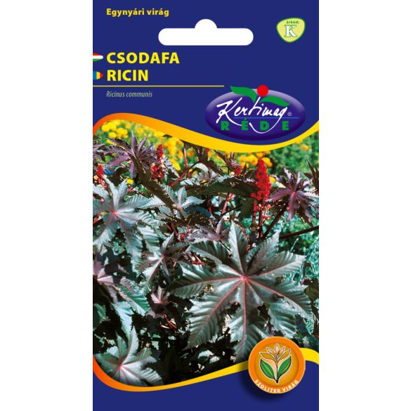 Csodafa Fáklya Piros termésű