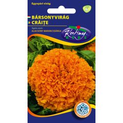 Bársonyvirág nv.alacs.narancs