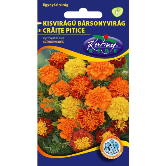 Bársonyvirág Kisvir.színkev.