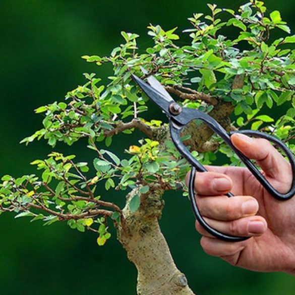 Fekete acél bonsai olló, 18 cm GT296