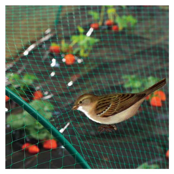 Madár elleni védőháló PE - zöld, 2 x 10m