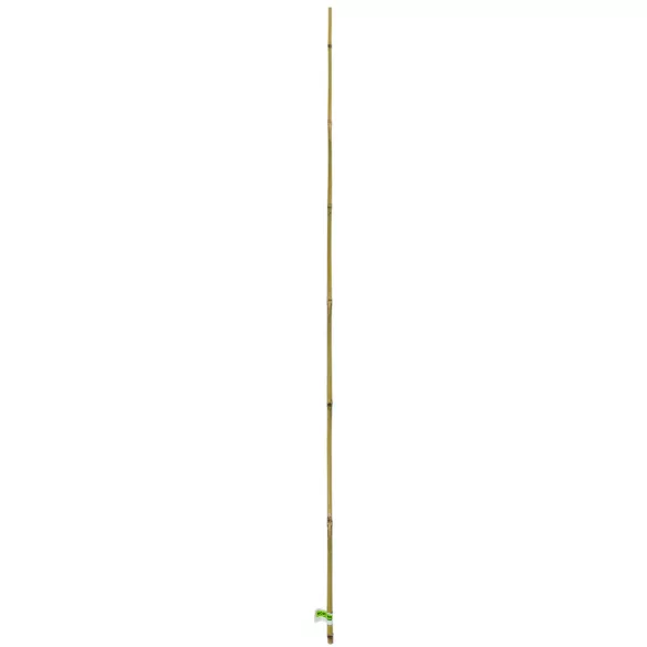Természetes bambusz karó kötegekben, 10-12mm x 1,5m/2 db