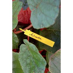 Növény címke (40db/csomag) - sárga, 9,5 x 1,5cm