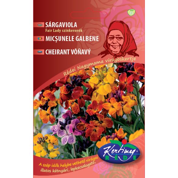 Sárgaviola, Fair Lady szk.