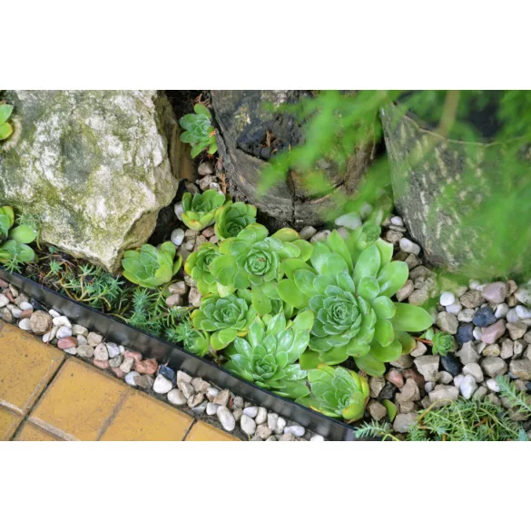 Újrahasznosított gumi ágyásszegély - 0,13 x 5m x 3,8mm, fekete