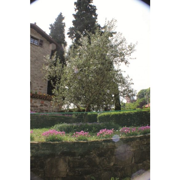 Műanyag kerti rács, antracit, szemméret: 5 x 5mm - 0,5 x 5m