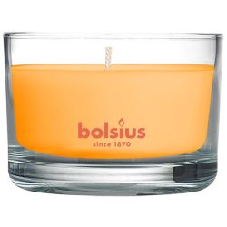   Gyertya Bolsius Jar True Scents 50/80 mm, illatos, mangó, üvegben