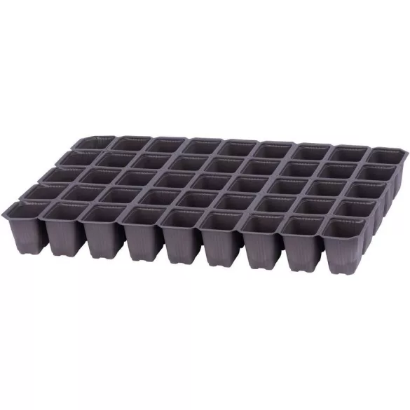 255589