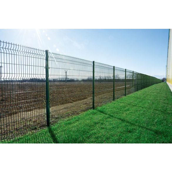 Panel EUROSTANDARD 3D 2500x1230 / 200x50 / 4,00 mm, fence, green, RAL6005
