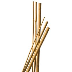 Bambusz növénytámasz 3 db, d14-16 mm,  180 cm natur