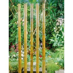 Bambusz növénytámasz natúr 50cm átm.4-4,5mm