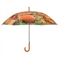 Esernyő, őszi hangulat TP208