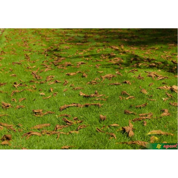 Fűmag Univerzális Sport, Agro Largo - 25 kg