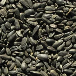 Napraforgó / fekete cc 1kg