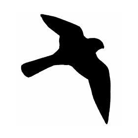 Védelem madarak ellen