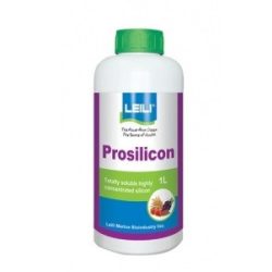 Prosilicon 1/1